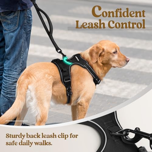 rabbitgoo Medium Dog Harness No Pull - Black, Adjustable Padded Reflective Vest with Handle