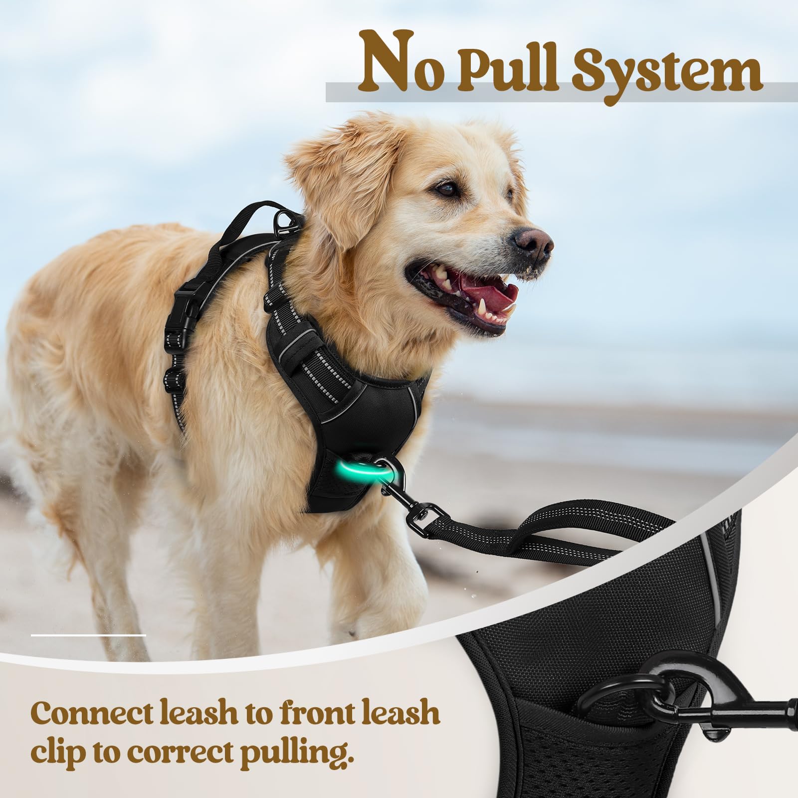 rabbitgoo Medium Dog Harness No Pull - Black, Adjustable Padded Reflective Vest with Handle