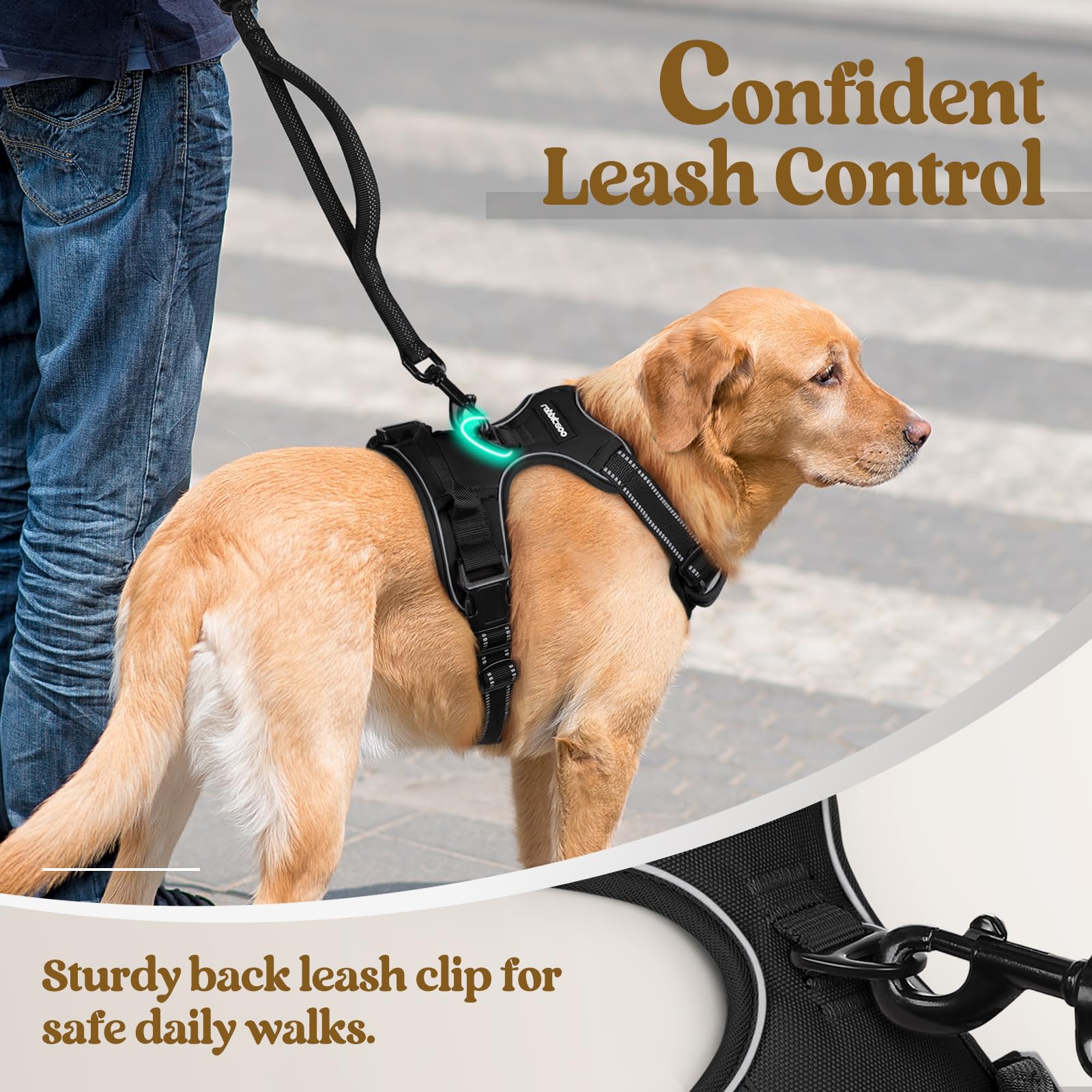 rabbitgoo Medium Dog Harness No Pull - Black, Adjustable Padded Reflective Vest with Handle