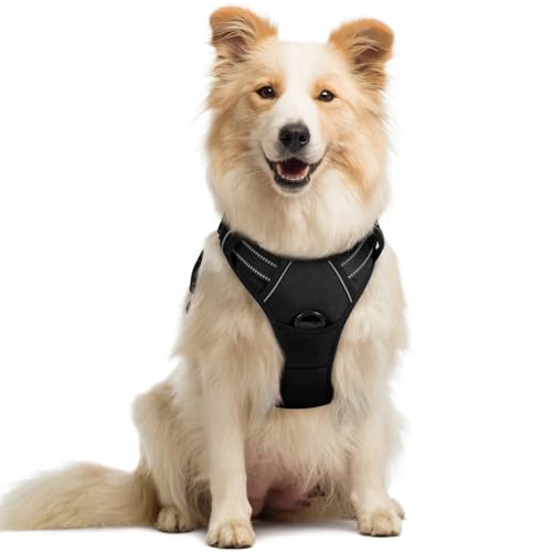 rabbitgoo Medium Dog Harness No Pull - Black, Adjustable Padded Reflective Vest with Handle
