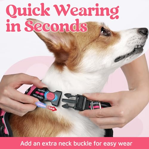 rabbitgoo Medium Dog Harness Pink – 3-Buckle No-Pull Vest with Control Handle & Reflective Strips