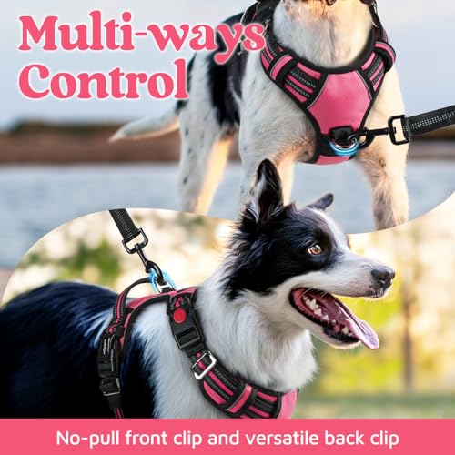 rabbitgoo Medium Dog Harness Pink – 3-Buckle No-Pull Vest with Control Handle & Reflective Strips