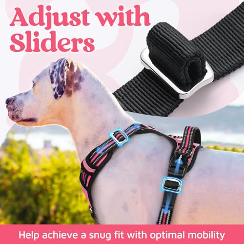 rabbitgoo Medium Dog Harness Pink – 3-Buckle No-Pull Vest with Control Handle & Reflective Strips