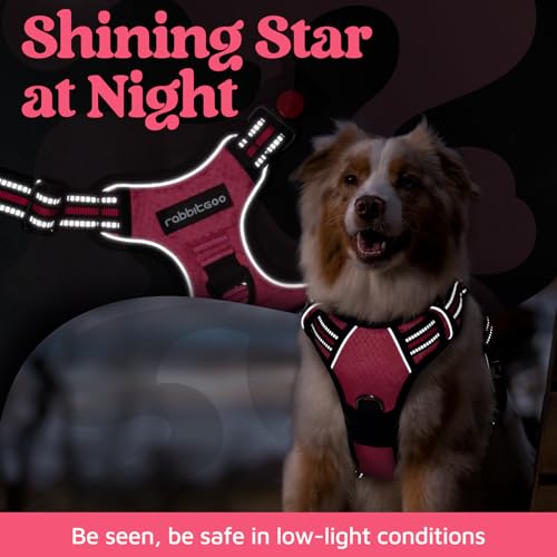 rabbitgoo Medium Dog Harness Pink – 3-Buckle No-Pull Vest with Control Handle & Reflective Strips