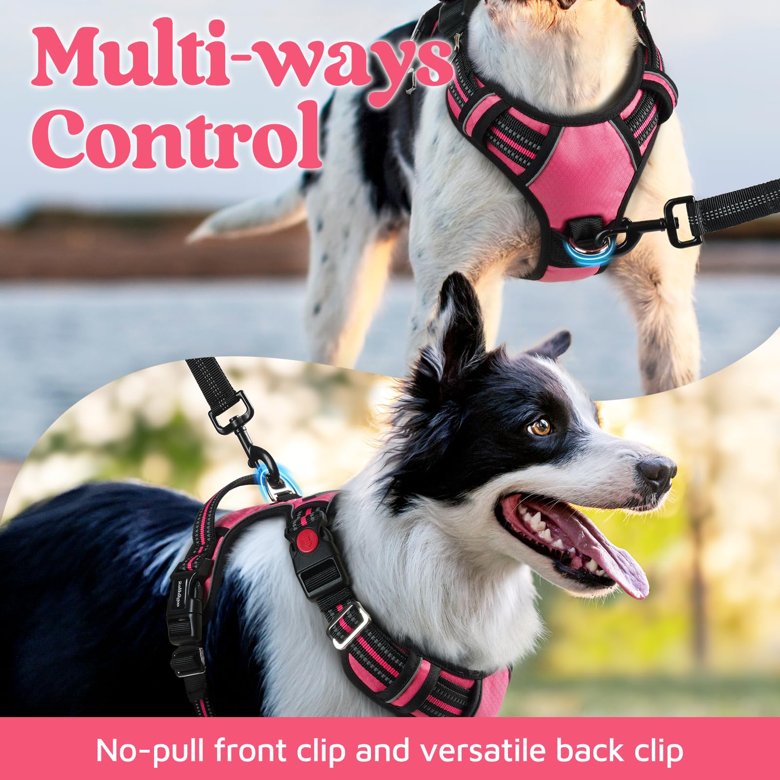 rabbitgoo Medium Dog Harness Pink – 3-Buckle No-Pull Vest with Control Handle & Reflective Strips