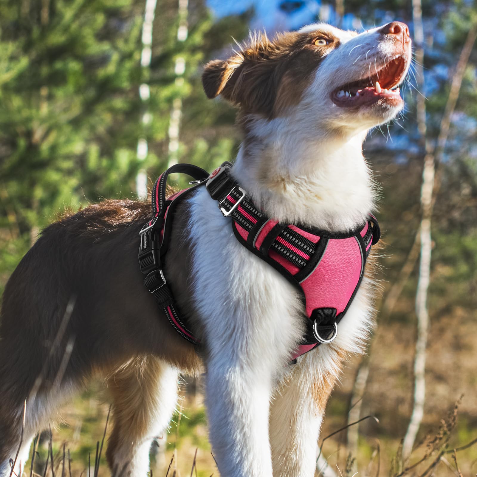 rabbitgoo Medium Dog Harness Pink – 3-Buckle No-Pull Vest with Control Handle & Reflective Strips