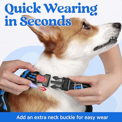 rabbitgoo No-Pull Dog Harness for Large Dogs - Blue, Size L: Easy On/Off with 3 Buckles & Control Handle