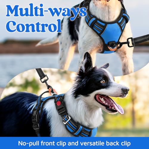 rabbitgoo No-Pull Dog Harness for Large Dogs - Blue, Size L: Easy On/Off with 3 Buckles & Control Handle