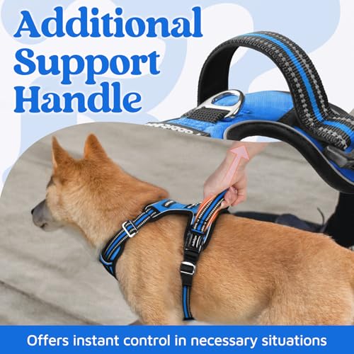 rabbitgoo No-Pull Dog Harness for Large Dogs - Blue, Size L: Easy On/Off with 3 Buckles & Control Handle