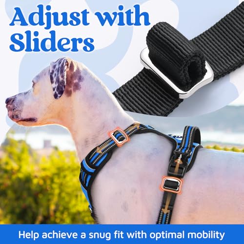 rabbitgoo No-Pull Dog Harness for Large Dogs - Blue, Size L: Easy On/Off with 3 Buckles & Control Handle