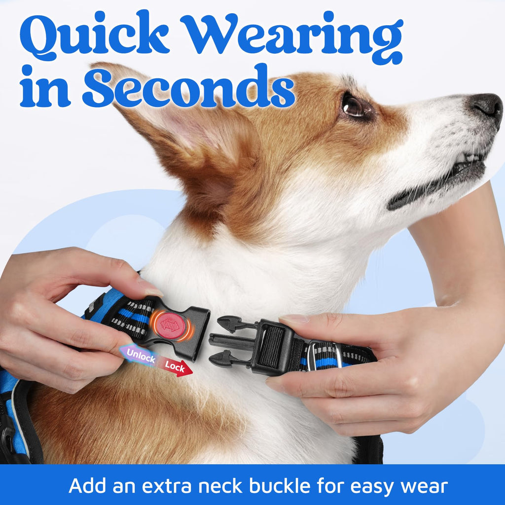 rabbitgoo No-Pull Dog Harness for Large Dogs - Blue, Size L: Easy On/Off with 3 Buckles & Control Handle