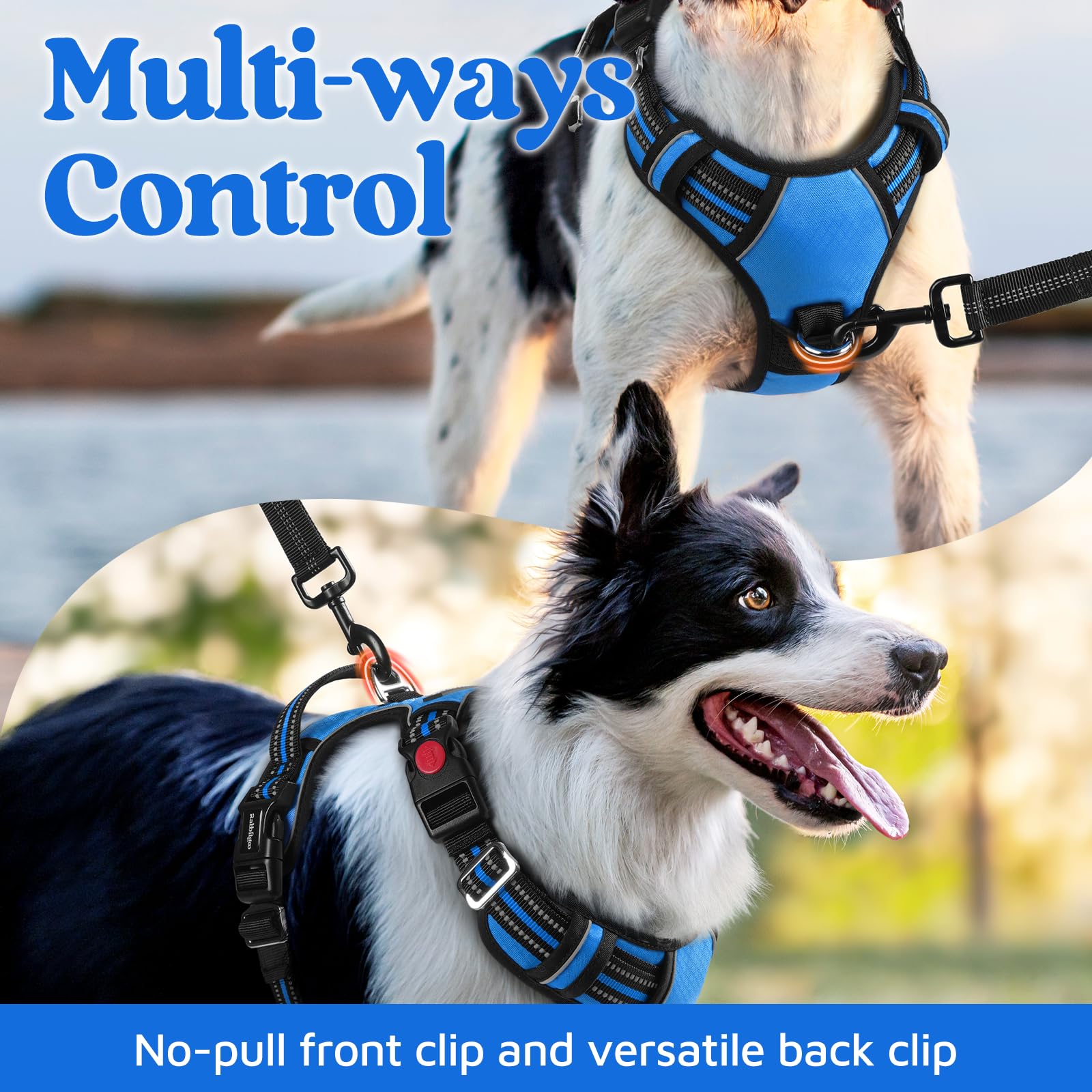 rabbitgoo No-Pull Dog Harness for Large Dogs - Blue, Size L: Easy On/Off with 3 Buckles & Control Handle