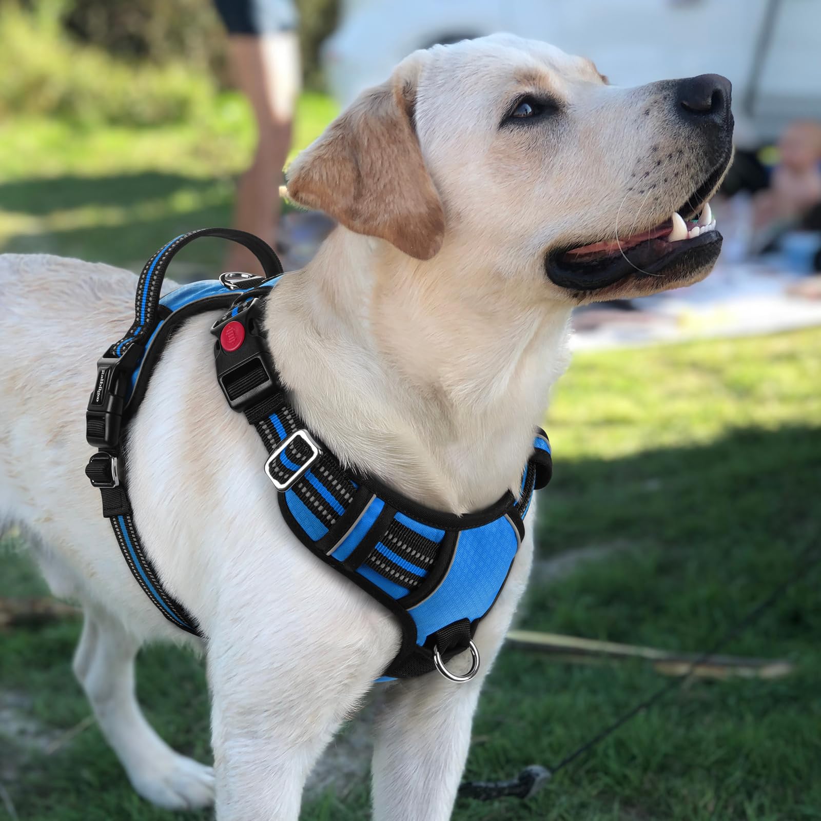 rabbitgoo No-Pull Dog Harness for Large Dogs - Blue, Size L: Easy On/Off with 3 Buckles & Control Handle