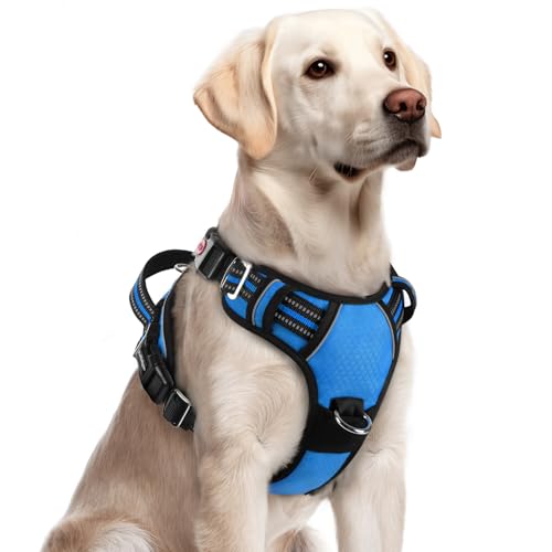 rabbitgoo No-Pull Dog Harness for Large Dogs - Blue, Size L: Easy On/Off with 3 Buckles & Control Handle