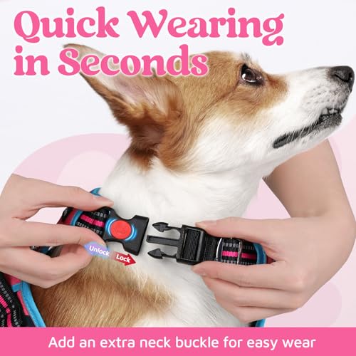 rabbitgoo Small Dog Harness - 3-Buckle No-Pull Vest with Control Handle, Reflective, Rose Pink & Blue