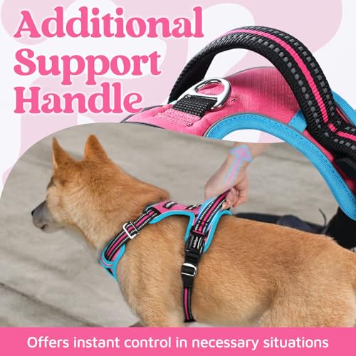 rabbitgoo Small Dog Harness - 3-Buckle No-Pull Vest with Control Handle, Reflective, Rose Pink & Blue