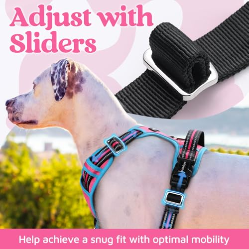 rabbitgoo Small Dog Harness - 3-Buckle No-Pull Vest with Control Handle, Reflective, Rose Pink & Blue