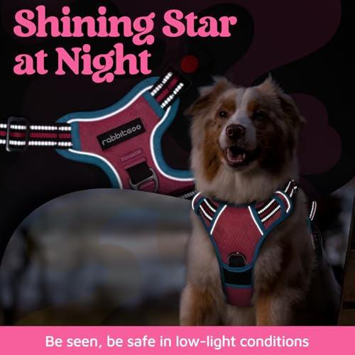 rabbitgoo Small Dog Harness - 3-Buckle No-Pull Vest with Control Handle, Reflective, Rose Pink & Blue