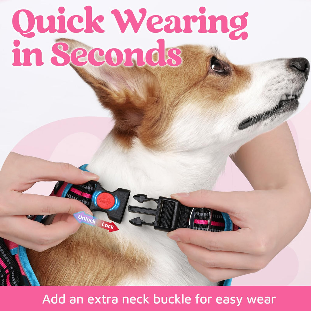 rabbitgoo Small Dog Harness - 3-Buckle No-Pull Vest with Control Handle, Reflective, Rose Pink & Blue