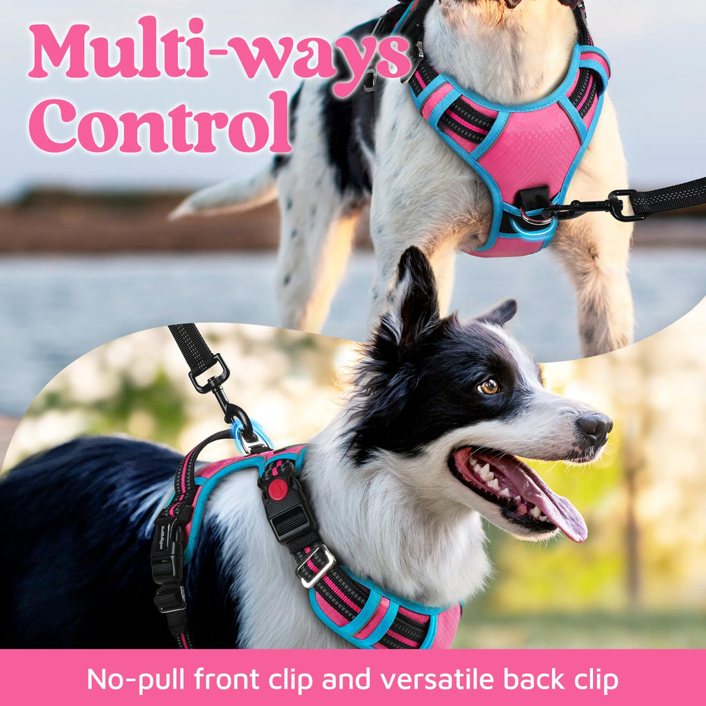 rabbitgoo Small Dog Harness - 3-Buckle No-Pull Vest with Control Handle, Reflective, Rose Pink & Blue