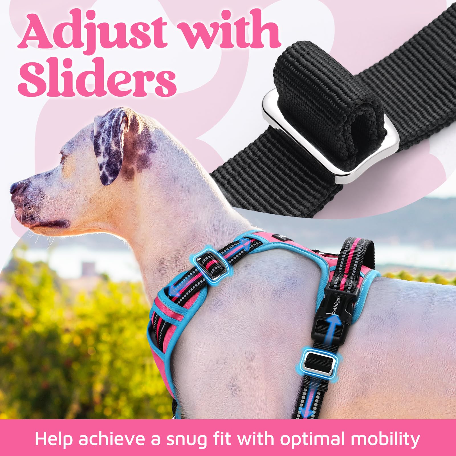 rabbitgoo Small Dog Harness - 3-Buckle No-Pull Vest with Control Handle, Reflective, Rose Pink & Blue