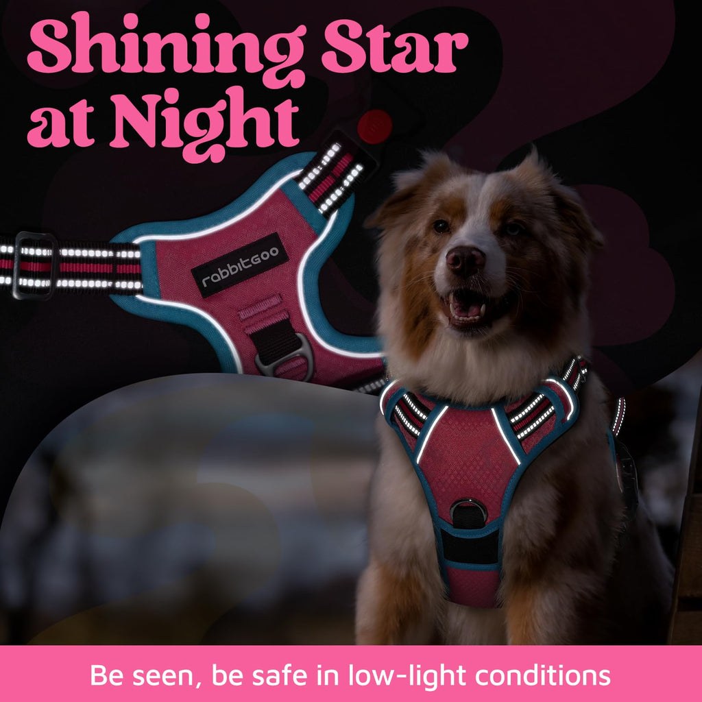 rabbitgoo Small Dog Harness - 3-Buckle No-Pull Vest with Control Handle, Reflective, Rose Pink & Blue