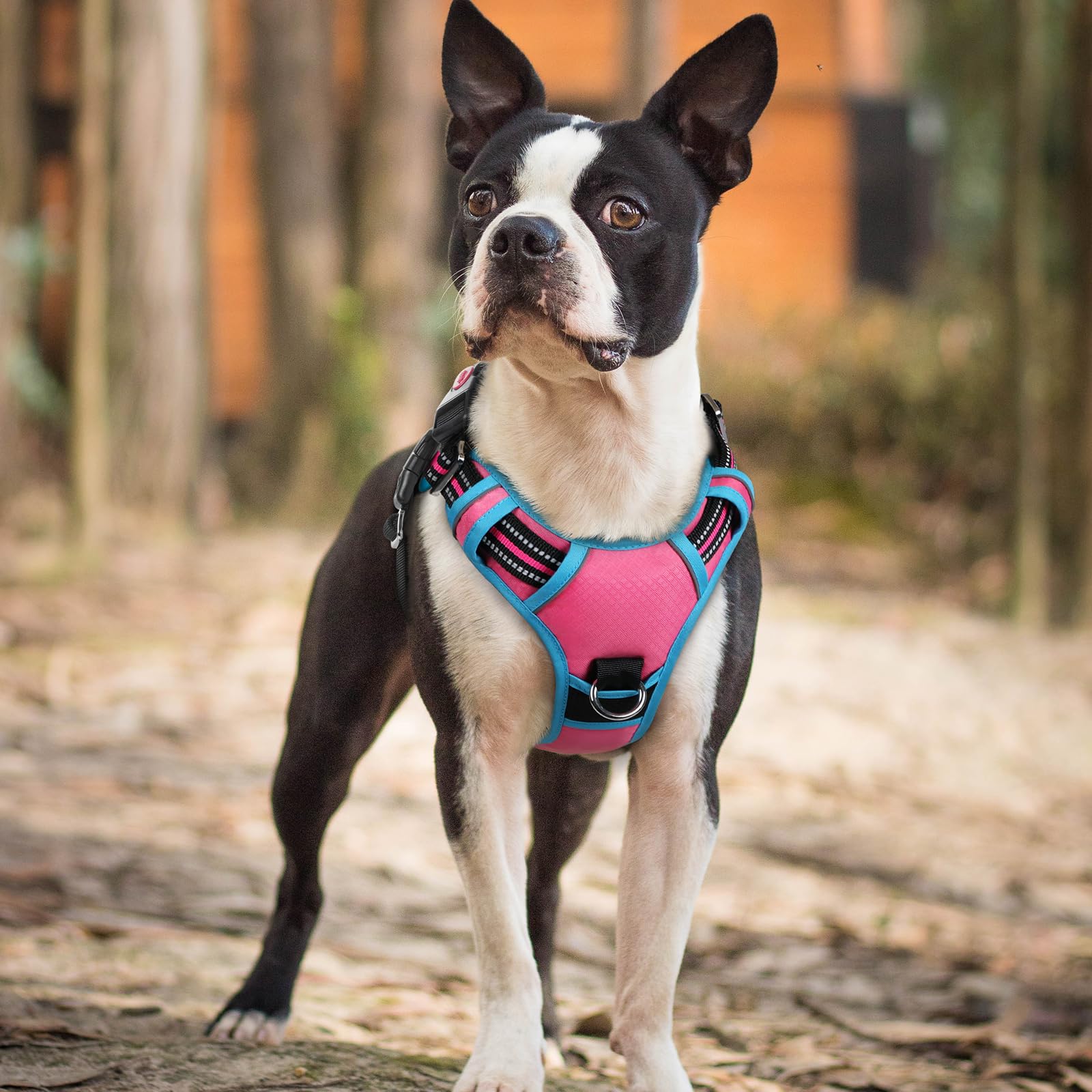 rabbitgoo Small Dog Harness - 3-Buckle No-Pull Vest with Control Handle, Reflective, Rose Pink & Blue