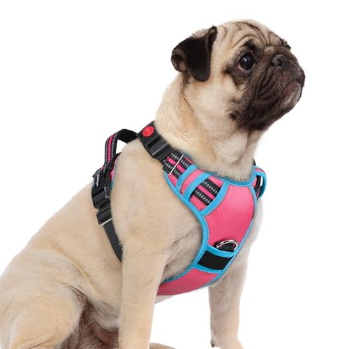 rabbitgoo Small Dog Harness - 3-Buckle No-Pull Vest with Control Handle, Reflective, Rose Pink & Blue