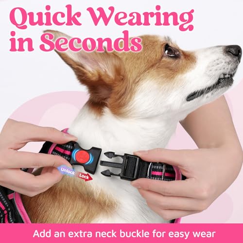 rabbitgoo Small Dog Harness – 3-Buckle No-Pull Vest with Soft Padding, Reflective Strips, and Control Handle (Black & Rose Pink)