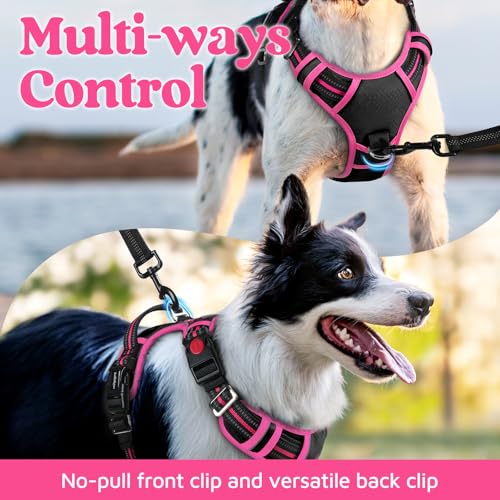 rabbitgoo Small Dog Harness – 3-Buckle No-Pull Vest with Soft Padding, Reflective Strips, and Control Handle (Black & Rose Pink)