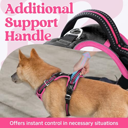 rabbitgoo Small Dog Harness – 3-Buckle No-Pull Vest with Soft Padding, Reflective Strips, and Control Handle (Black & Rose Pink)