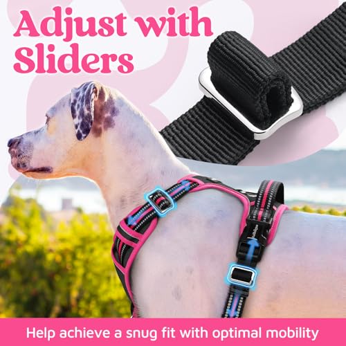 rabbitgoo Small Dog Harness – 3-Buckle No-Pull Vest with Soft Padding, Reflective Strips, and Control Handle (Black & Rose Pink)