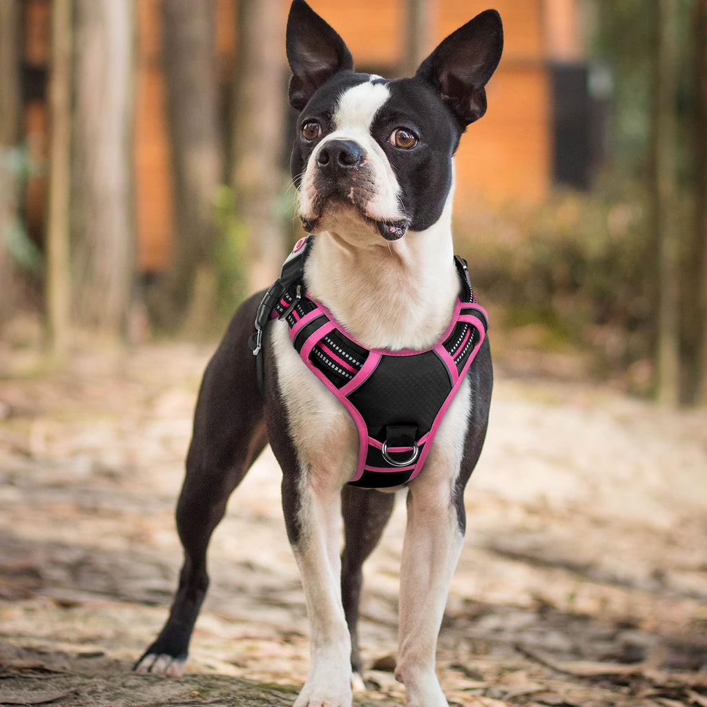 rabbitgoo Small Dog Harness – 3-Buckle No-Pull Vest with Soft Padding, Reflective Strips, and Control Handle (Black & Rose Pink)