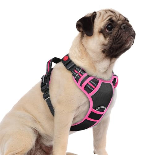 rabbitgoo Small Dog Harness – 3-Buckle No-Pull Vest with Soft Padding, Reflective Strips, and Control Handle (Black & Rose Pink)