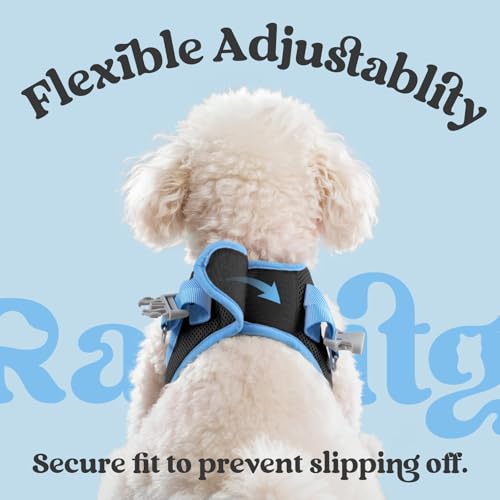 rabbitgoo Small Dog Harness and Leash Set, Step-in Reflective Vest for Small Dogs, Black & Light Blue, Size S