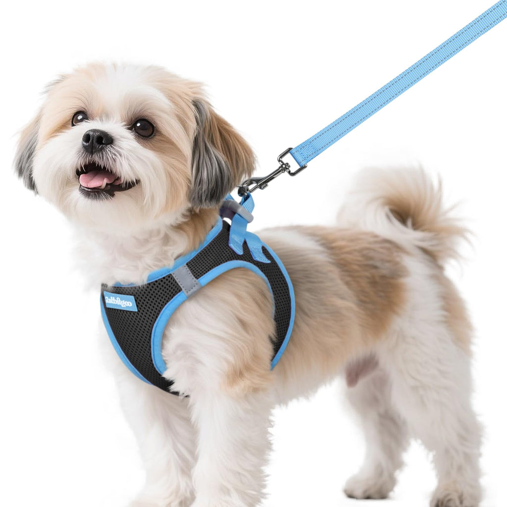 rabbitgoo Small Dog Harness and Leash Set, Step-in Reflective Vest for Small Dogs, Black & Light Blue, Size S