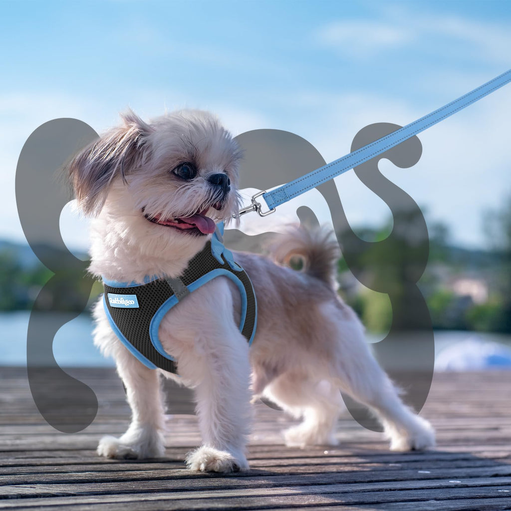 rabbitgoo Small Dog Harness and Leash Set, Step-in Reflective Vest for Small Dogs, Black & Light Blue, Size S