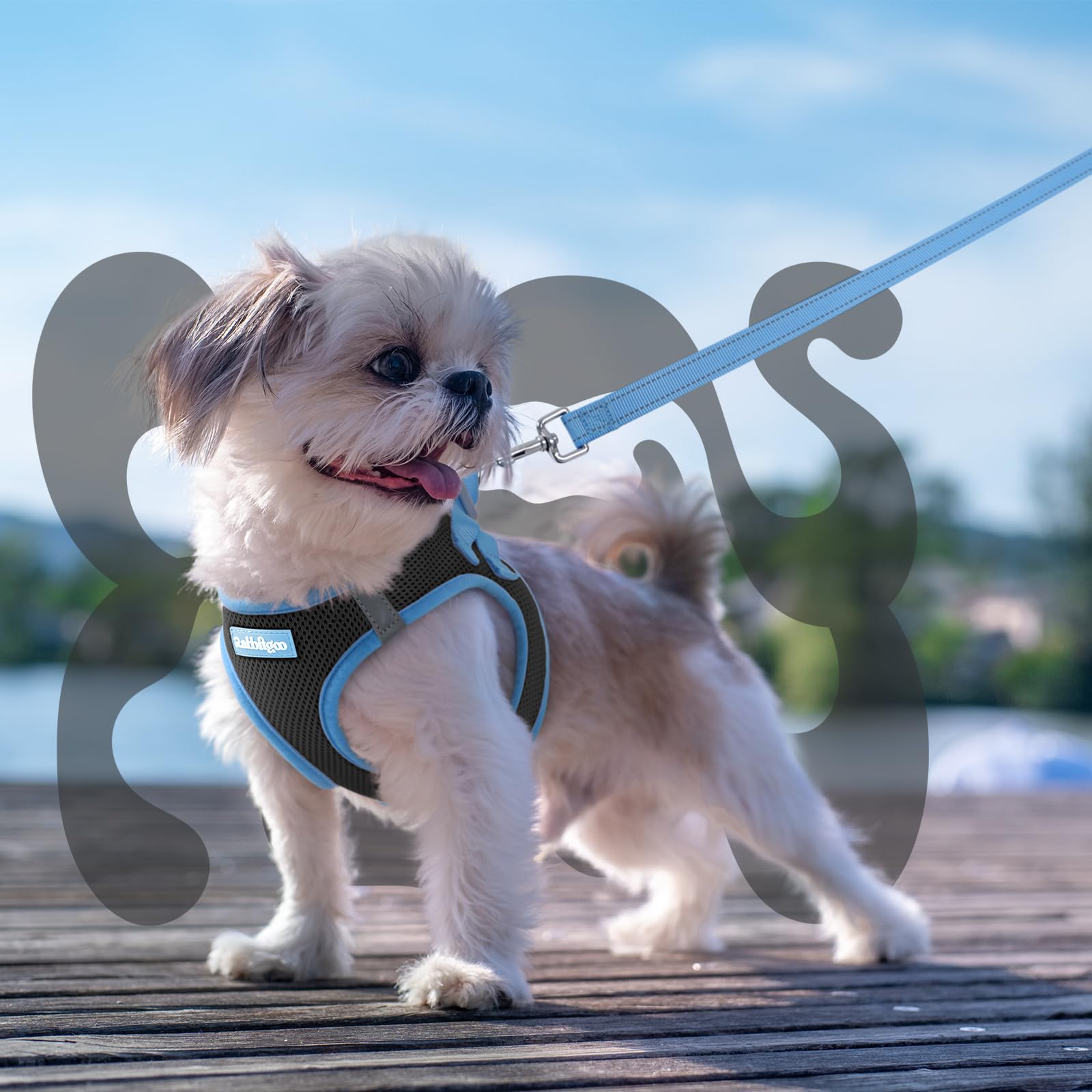 rabbitgoo Small Dog Harness and Leash Set, Step-in Reflective Vest for Small Dogs, Black & Light Blue, Size S