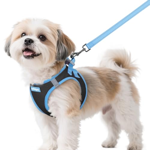 rabbitgoo Small Dog Harness and Leash Set, Step-in Reflective Vest for Small Dogs, Black & Light Blue, Size S