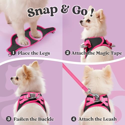 rabbitgoo Small Dog Harness and Leash Set – Step-In Vest with Reflective Strips, Black & Rose Red, Size S