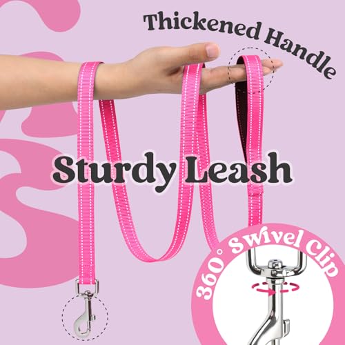 rabbitgoo Small Dog Harness and Leash Set – Step-In Vest with Reflective Strips, Black & Rose Red, Size S