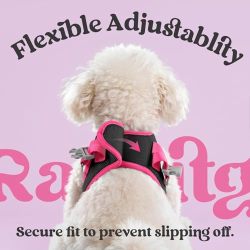 rabbitgoo Small Dog Harness and Leash Set – Step-In Vest with Reflective Strips, Black & Rose Red, Size S