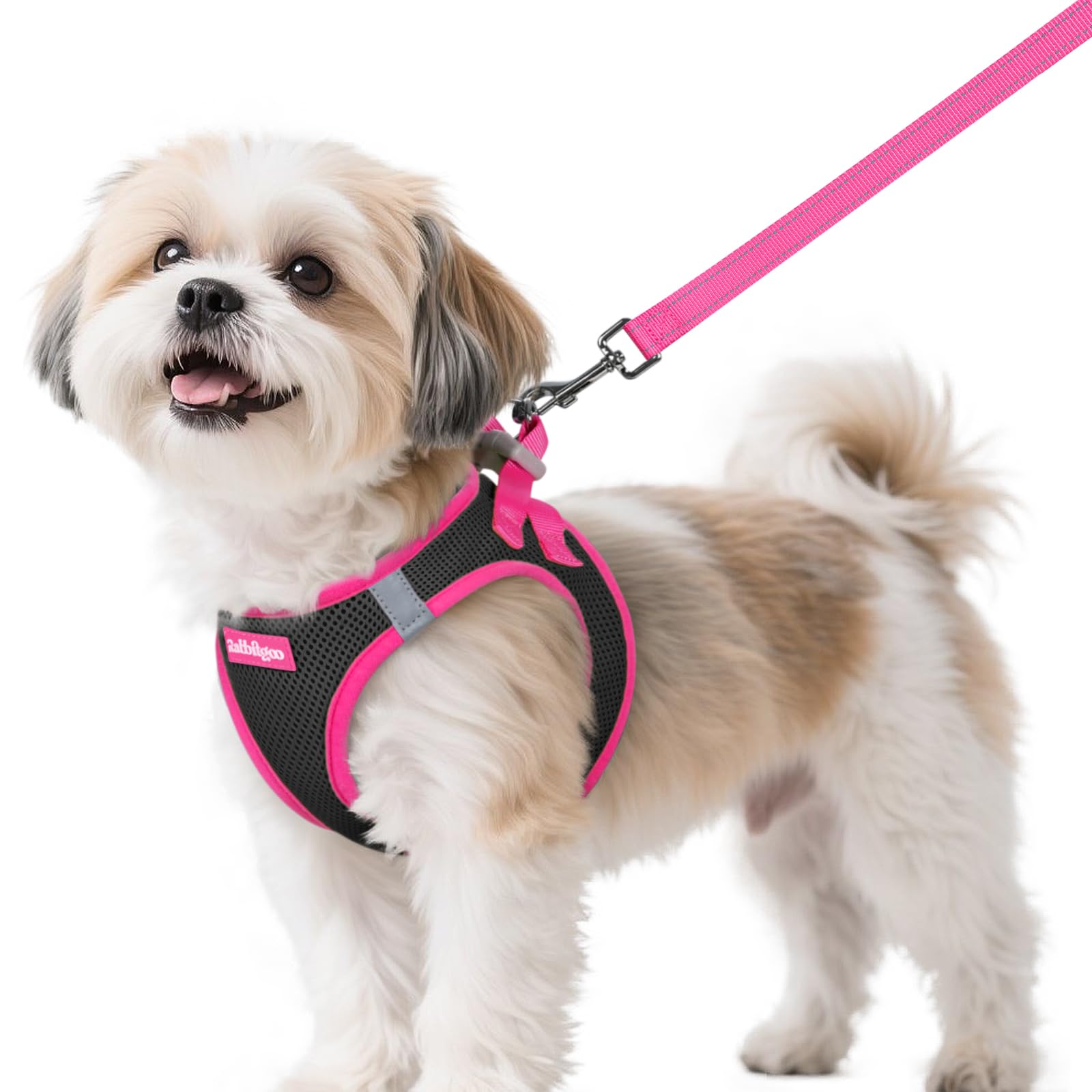 rabbitgoo Small Dog Harness and Leash Set – Step-In Vest with Reflective Strips, Black & Rose Red, Size S