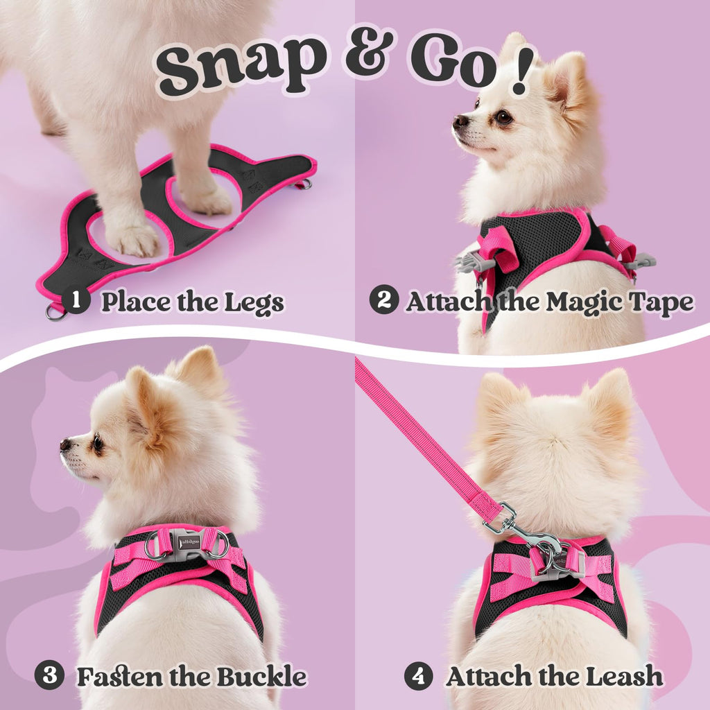 rabbitgoo Small Dog Harness and Leash Set – Step-In Vest with Reflective Strips, Black & Rose Red, Size S