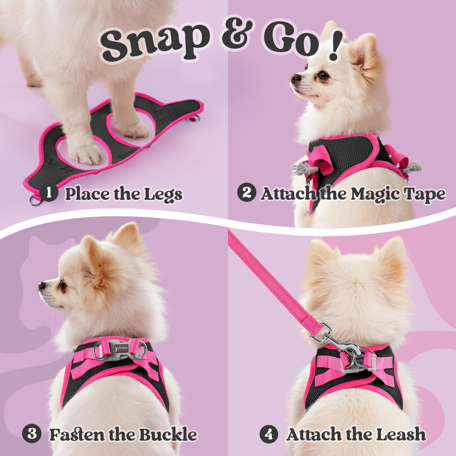 rabbitgoo Small Dog Harness and Leash Set – Step-In Vest with Reflective Strips, Black & Rose Red, Size S