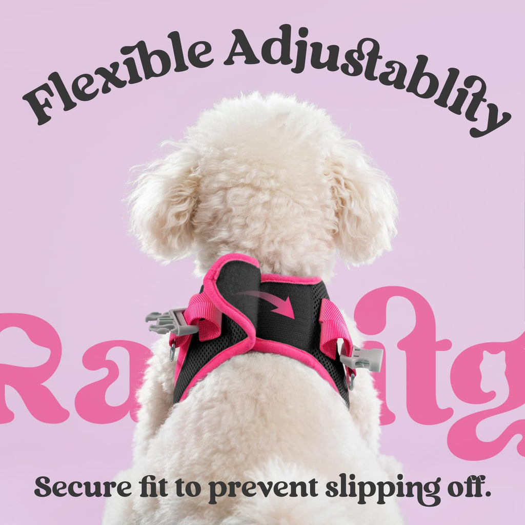 rabbitgoo Small Dog Harness and Leash Set – Step-In Vest with Reflective Strips, Black & Rose Red, Size S