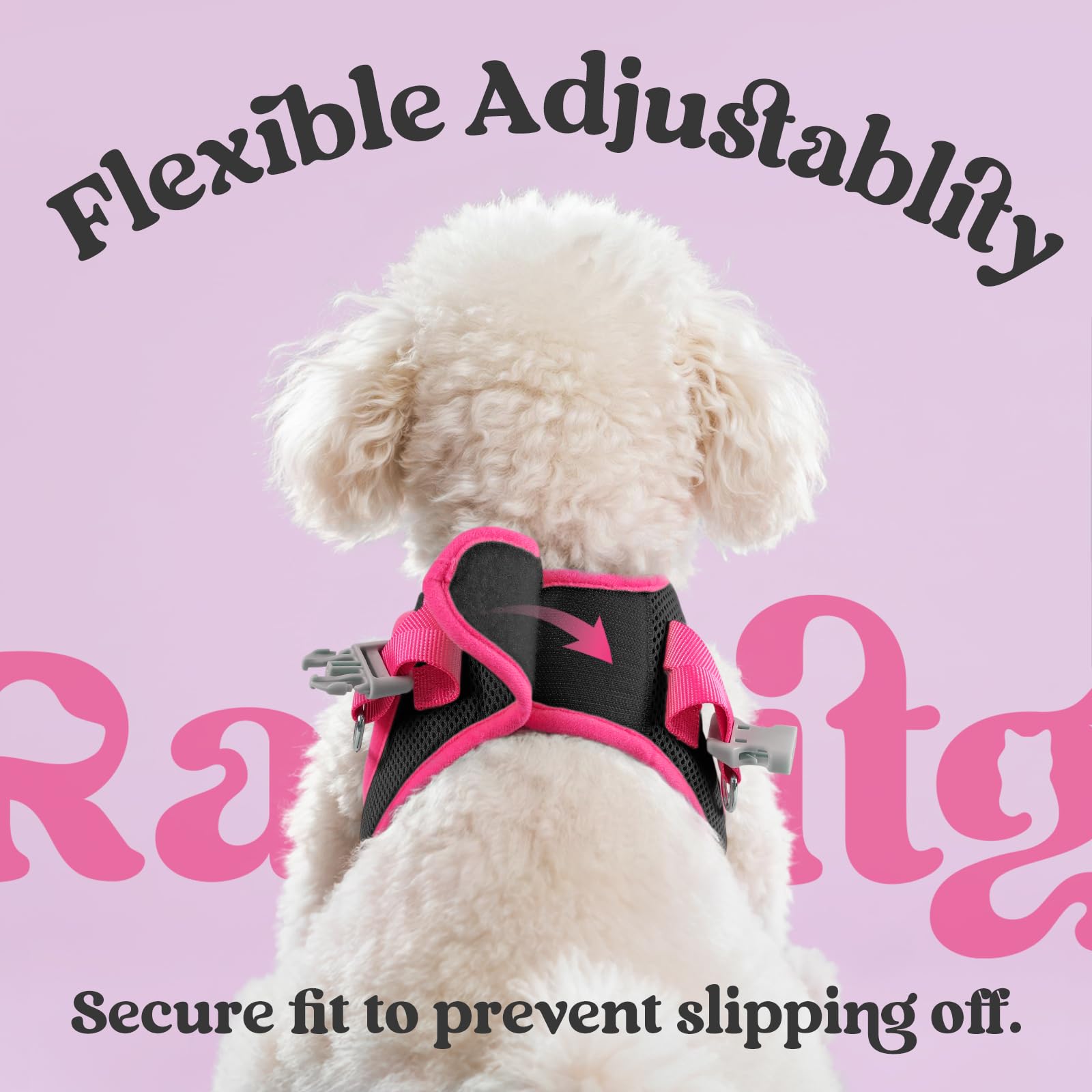 rabbitgoo Small Dog Harness and Leash Set – Step-In Vest with Reflective Strips, Black & Rose Red, Size S