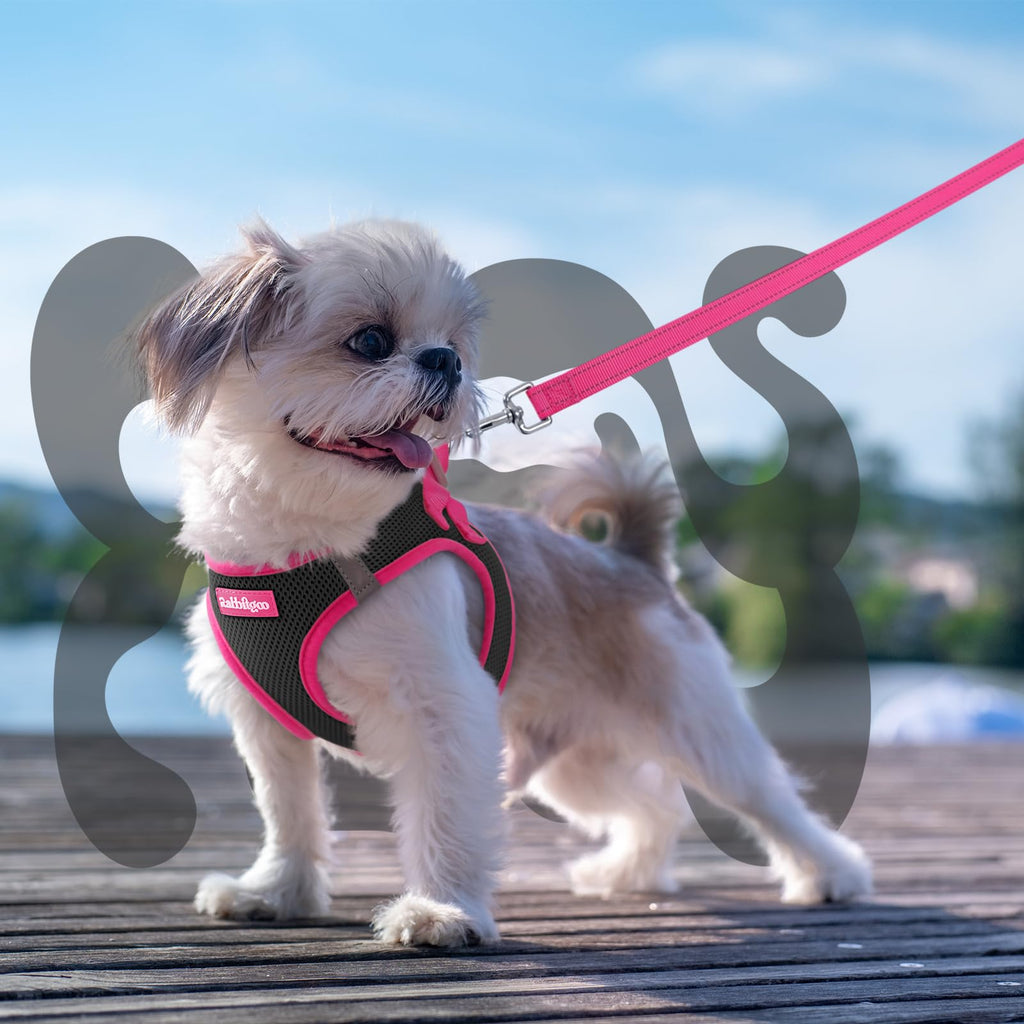 rabbitgoo Small Dog Harness and Leash Set – Step-In Vest with Reflective Strips, Black & Rose Red, Size S