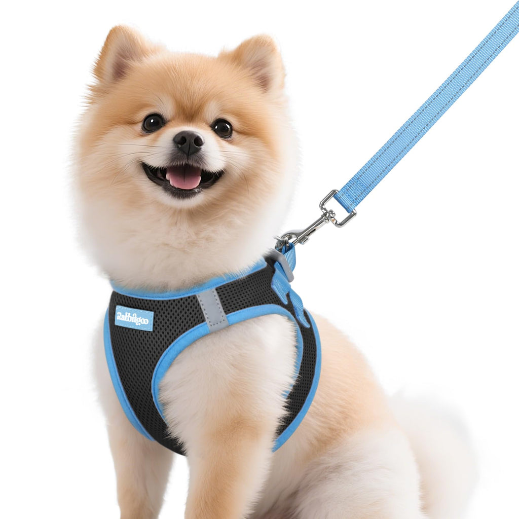rabbitgoo Small Dog Harness & Leash Set – Step-In, Reflective, Breathable Vest for Small Breeds, M (Black & Light Blue)