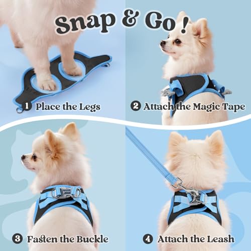 rabbitgoo Small Dog Harness & Leash Set – Step-In, Reflective, Breathable Vest for Small Breeds, M (Black & Light Blue)